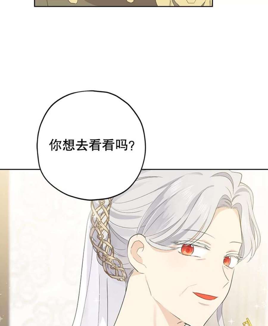 真与假的精灵师少女34.探索秘密