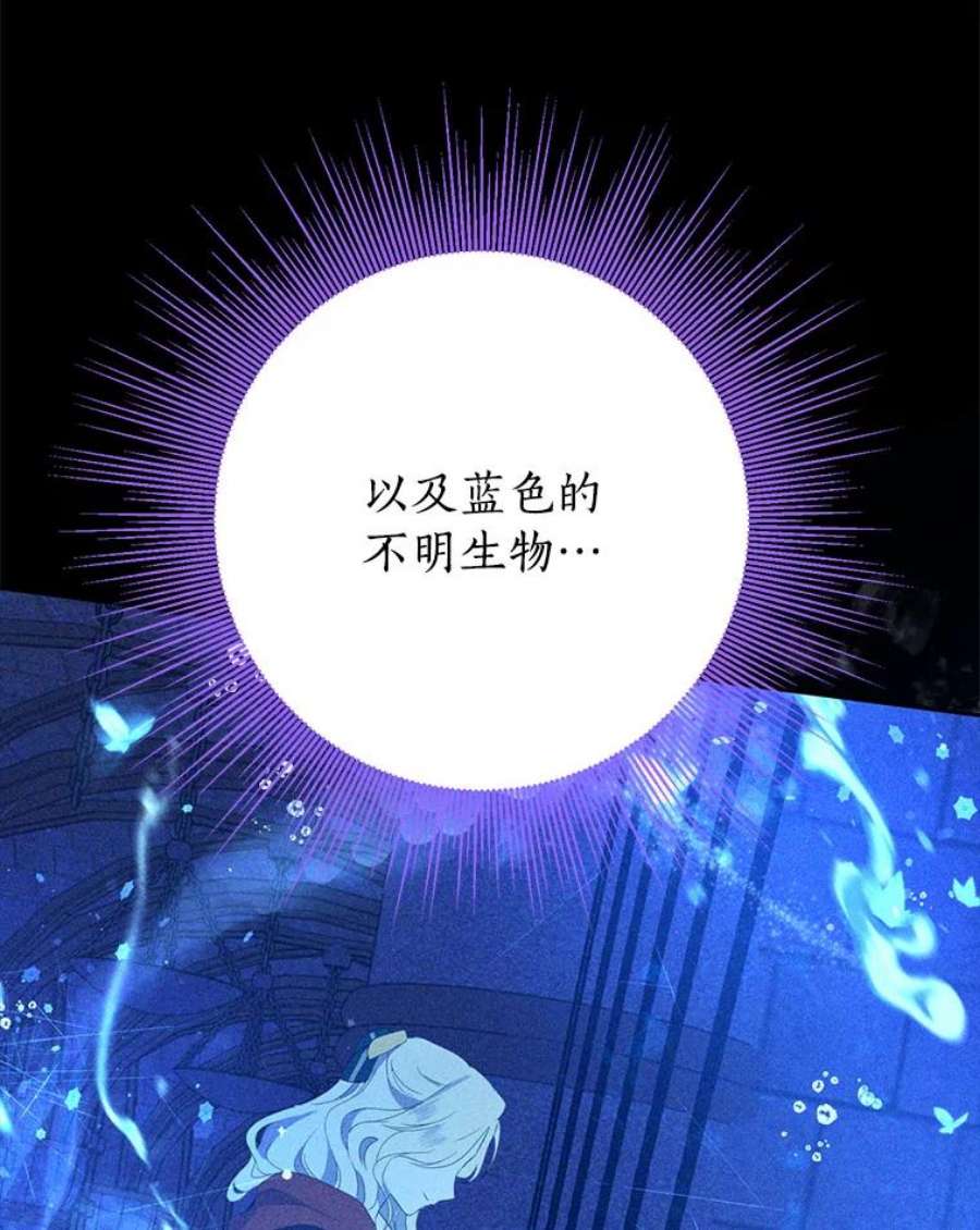 真与假的精灵师少女34.探索秘密