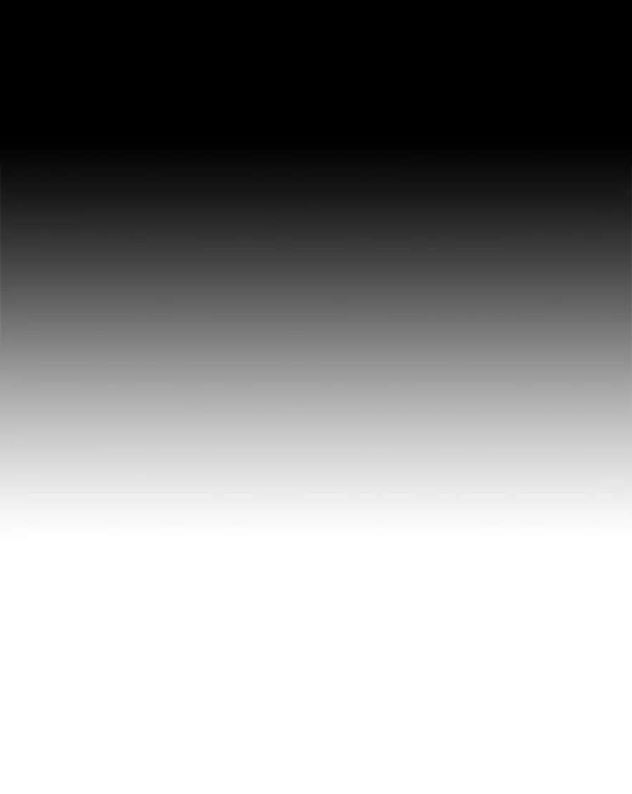 真与假的精灵师少女34.探索秘密