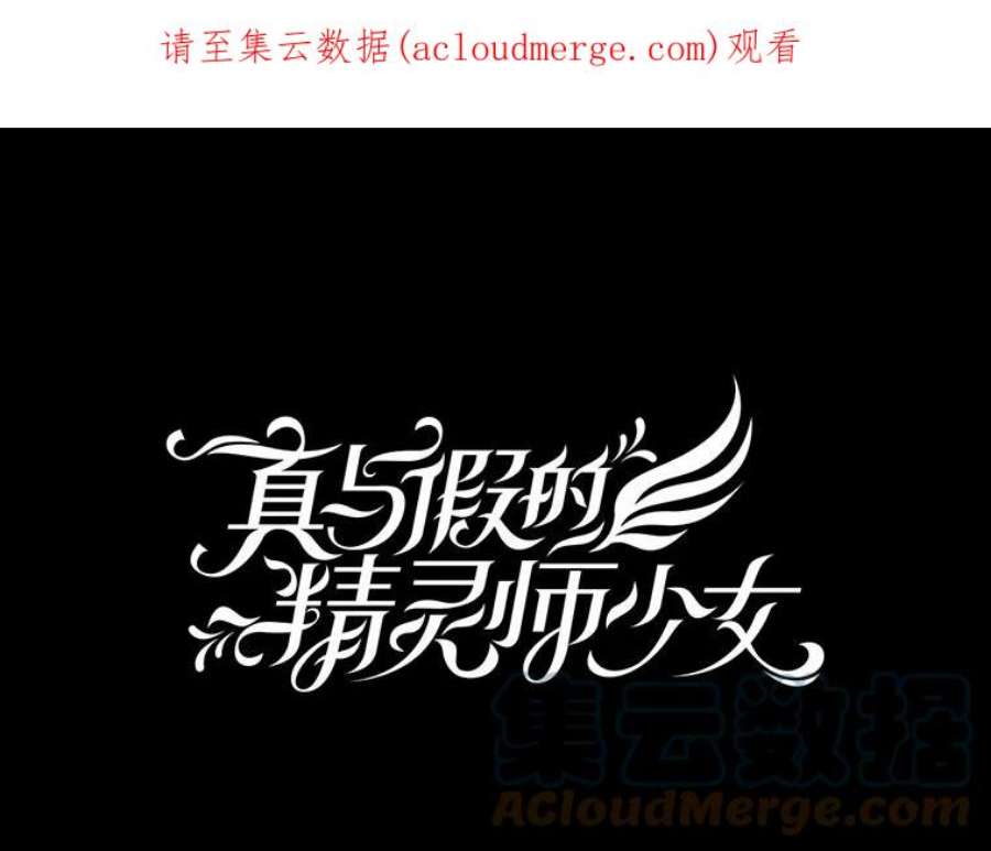 真与假的精灵师少女35.共鸣