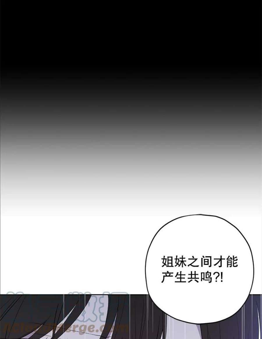 真与假的精灵师少女35.共鸣