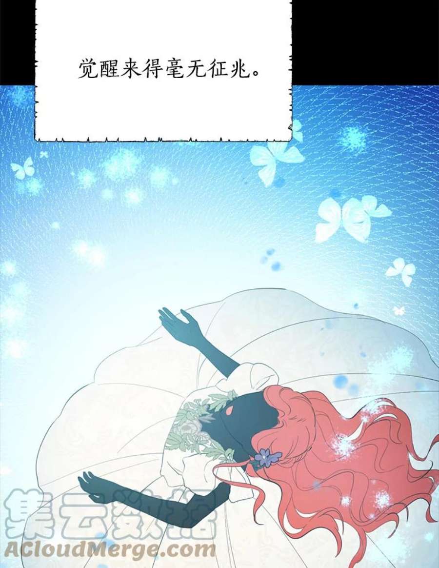 真与假的精灵师少女35.共鸣