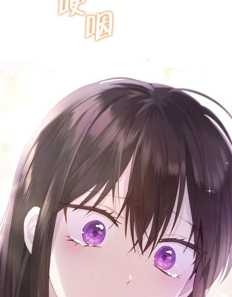 真与假的精灵师少女35.共鸣