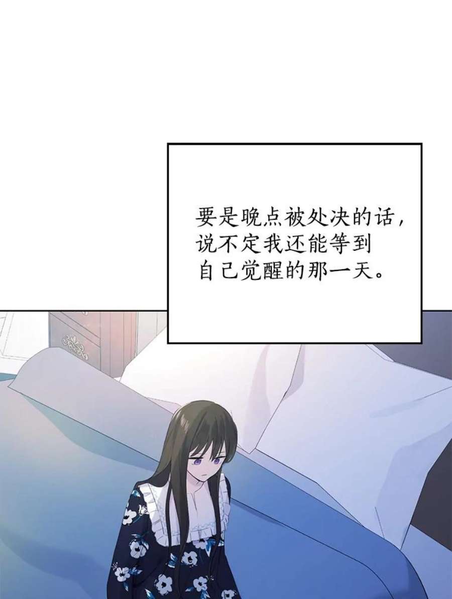 真与假的精灵师少女35.共鸣