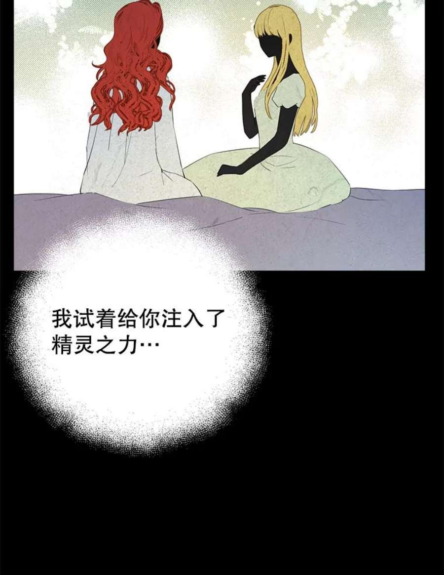 真与假的精灵师少女35.共鸣