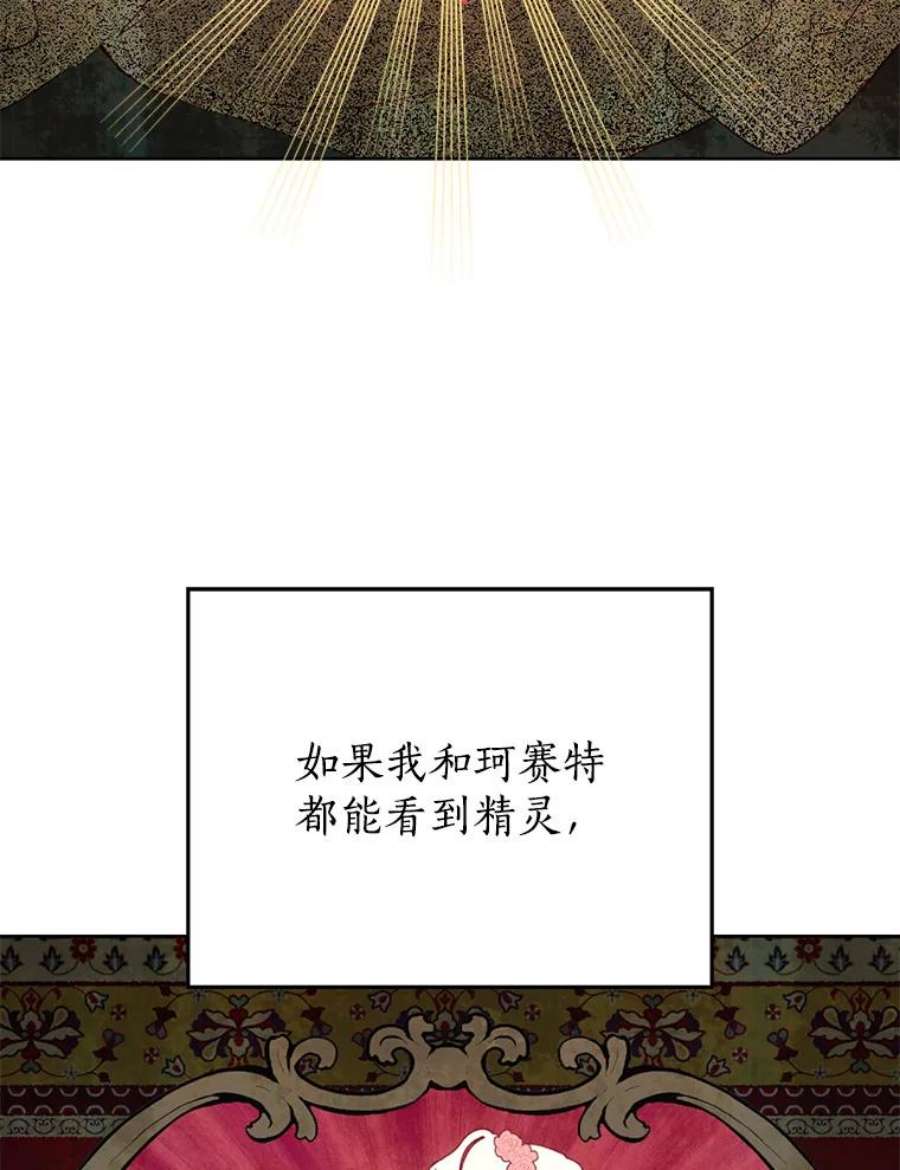 真与假的精灵师少女35.共鸣