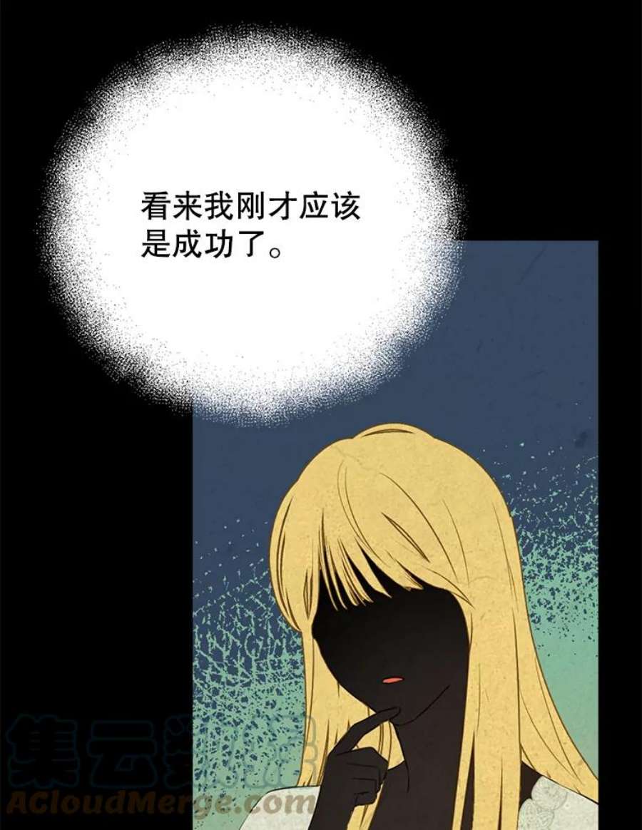 真与假的精灵师少女35.共鸣