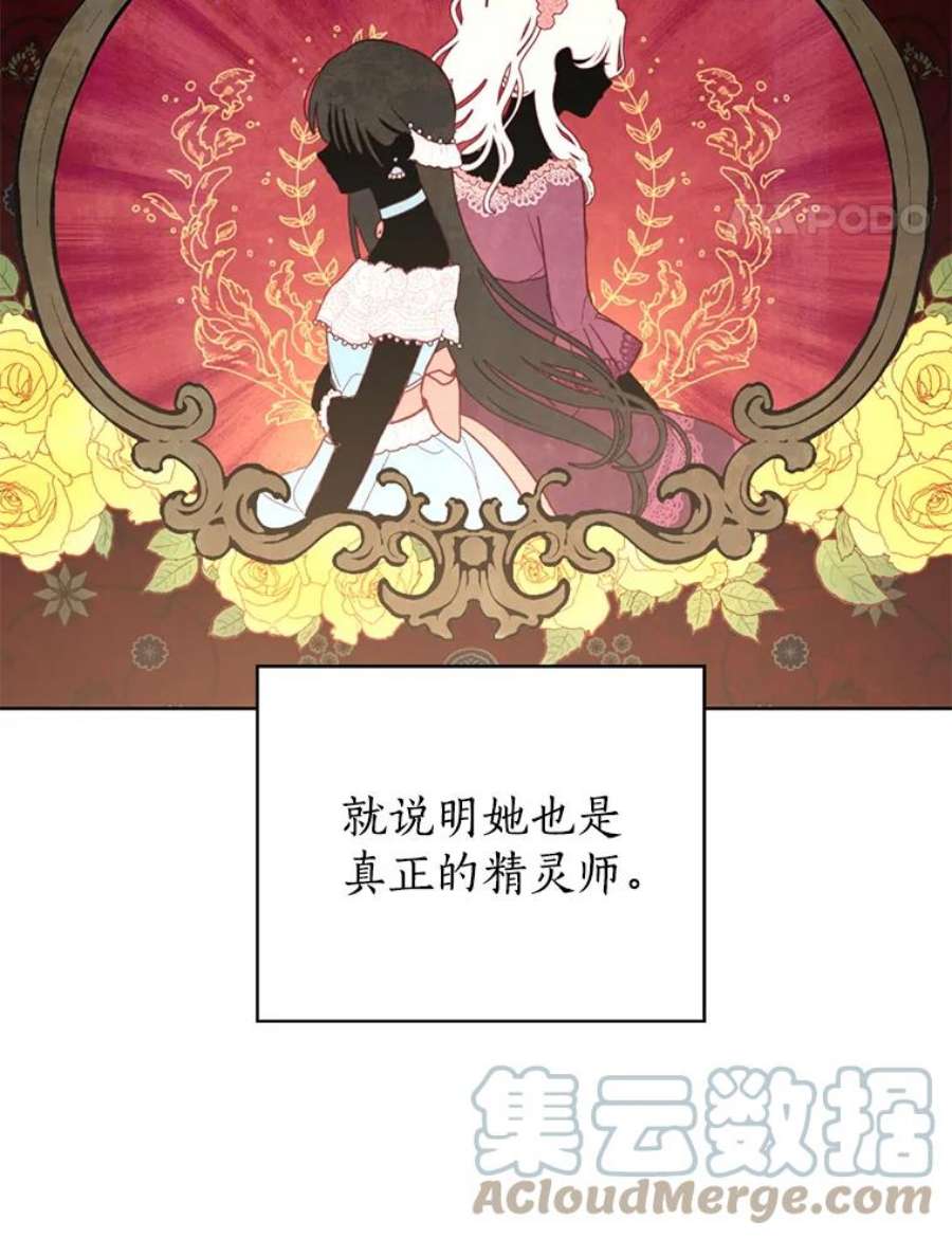 真与假的精灵师少女35.共鸣