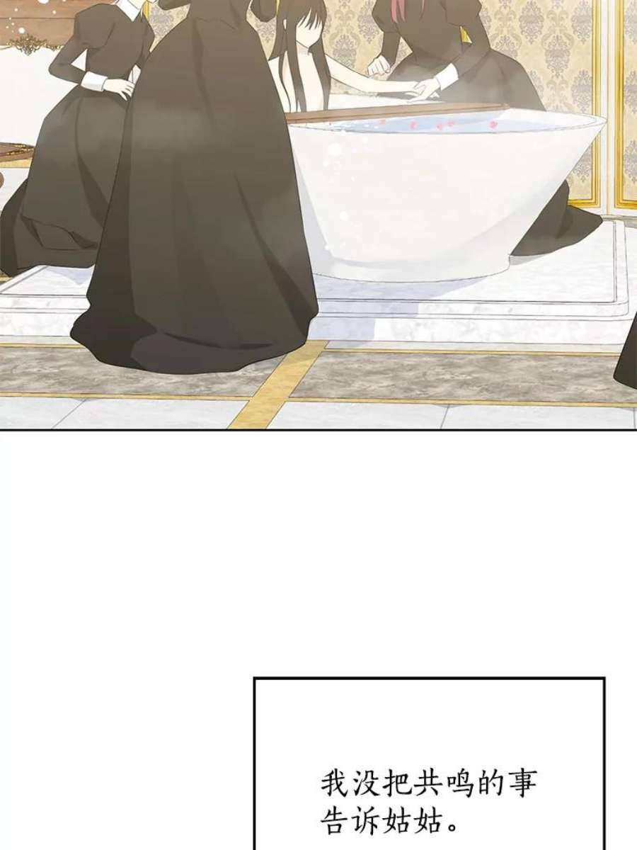 真与假的精灵师少女36.再次相见