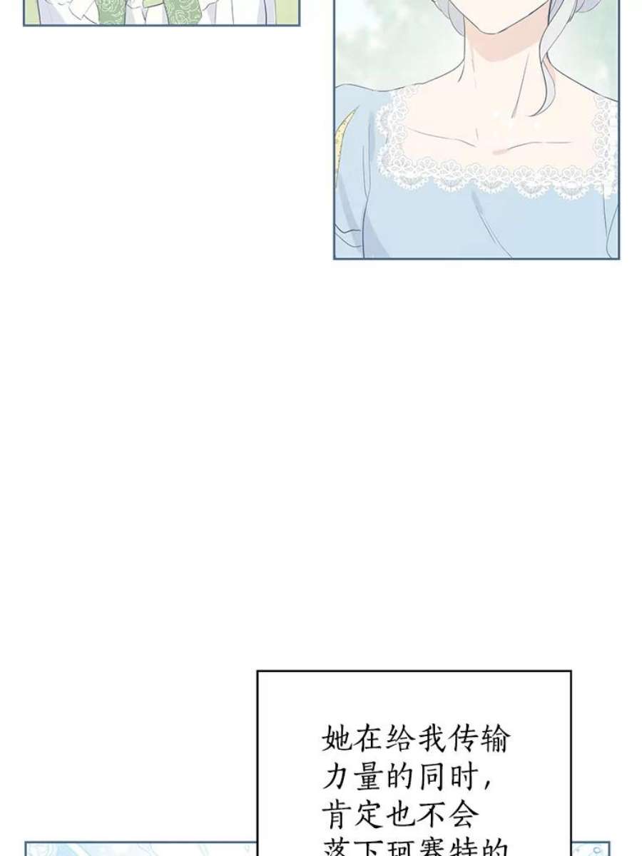 真与假的精灵师少女36.再次相见