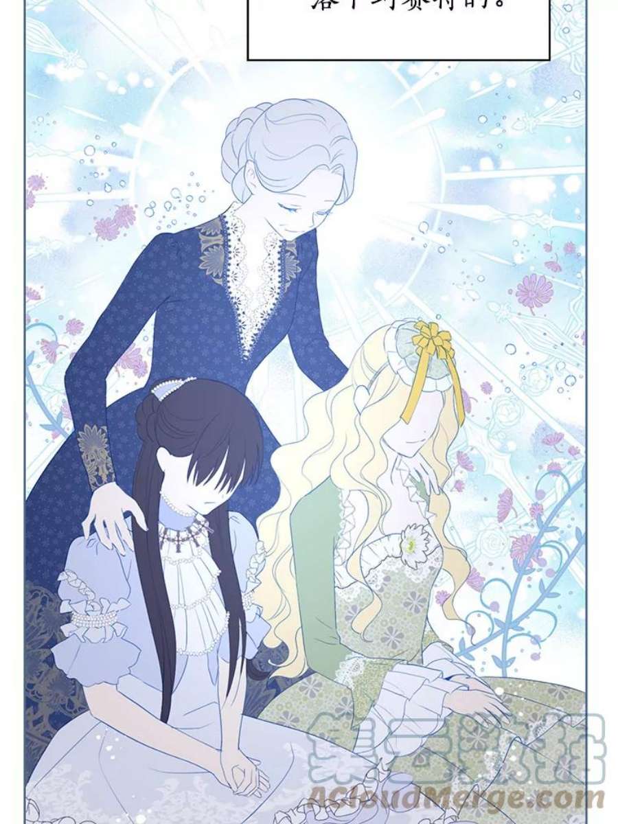 真与假的精灵师少女36.再次相见