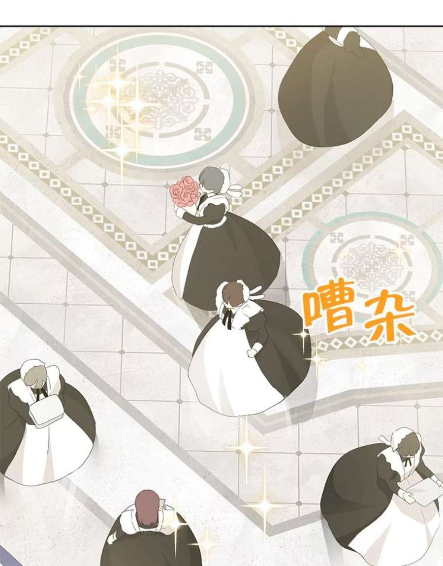 真与假的精灵师少女36.再次相见