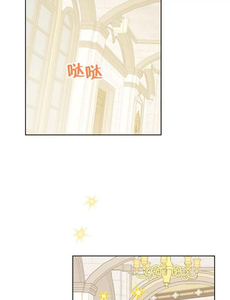 真与假的精灵师少女36.再次相见