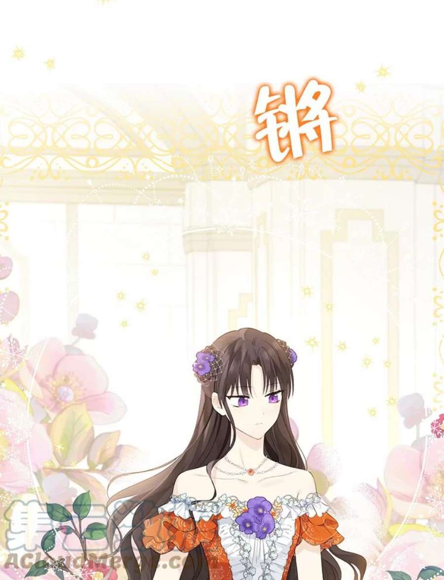 真与假的精灵师少女36.再次相见