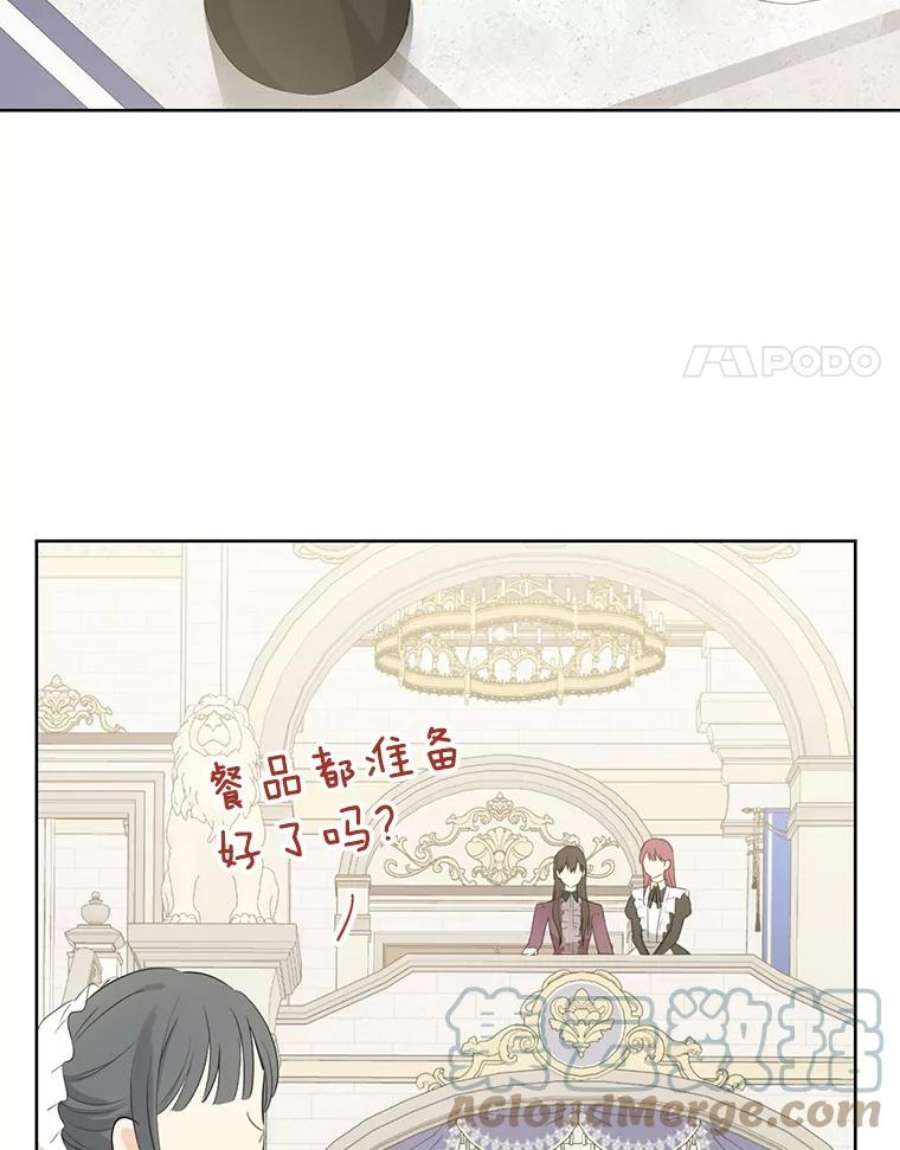 真与假的精灵师少女36.再次相见