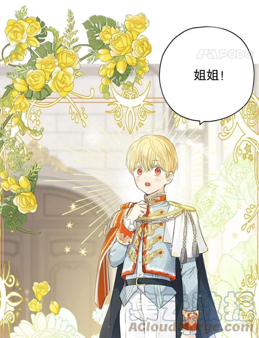 真与假的精灵师少女36.再次相见