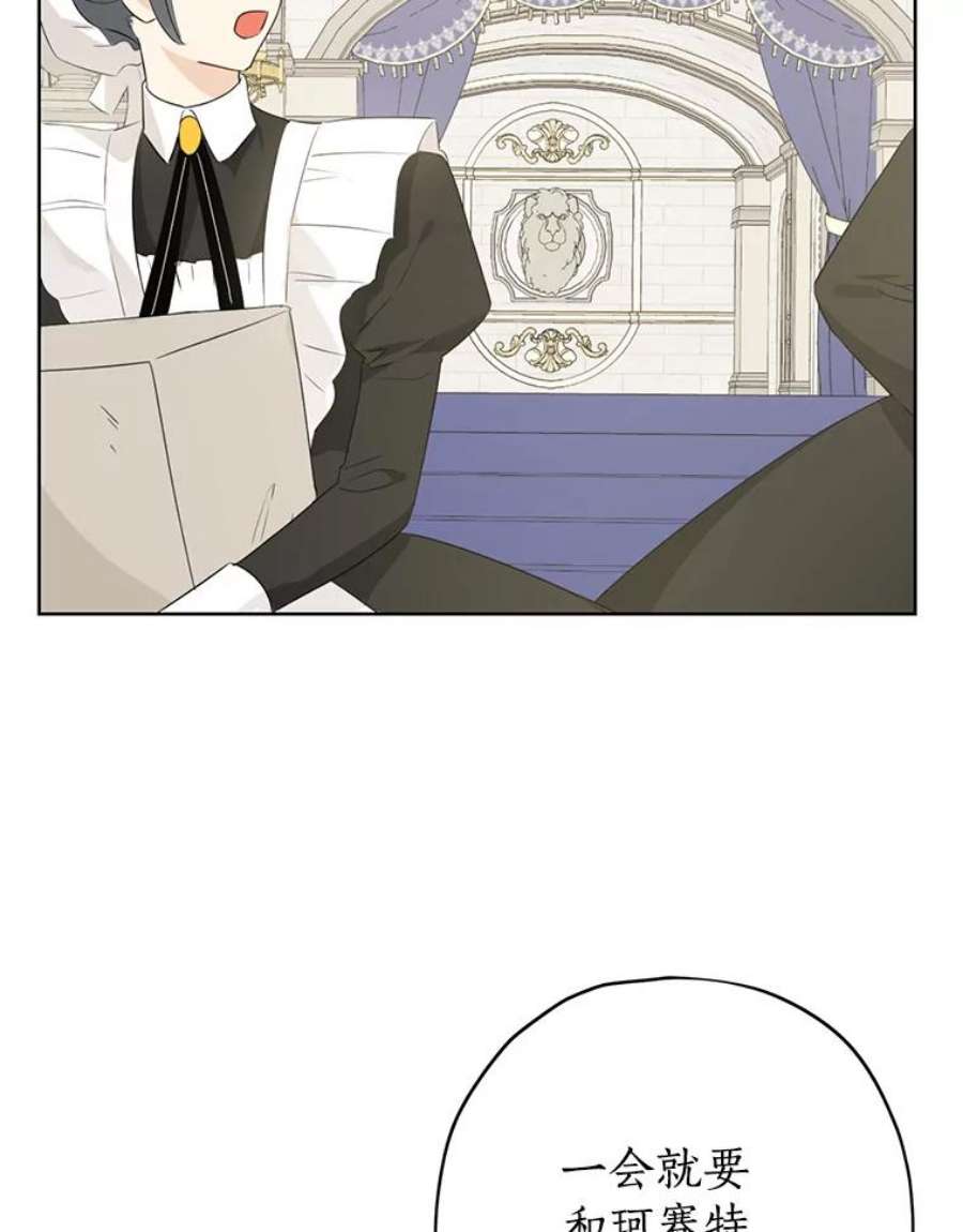 真与假的精灵师少女36.再次相见