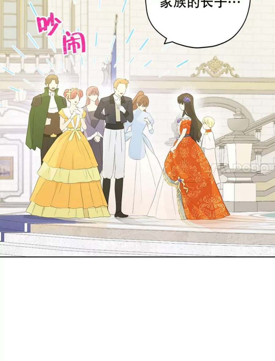 真与假的精灵师少女36.再次相见