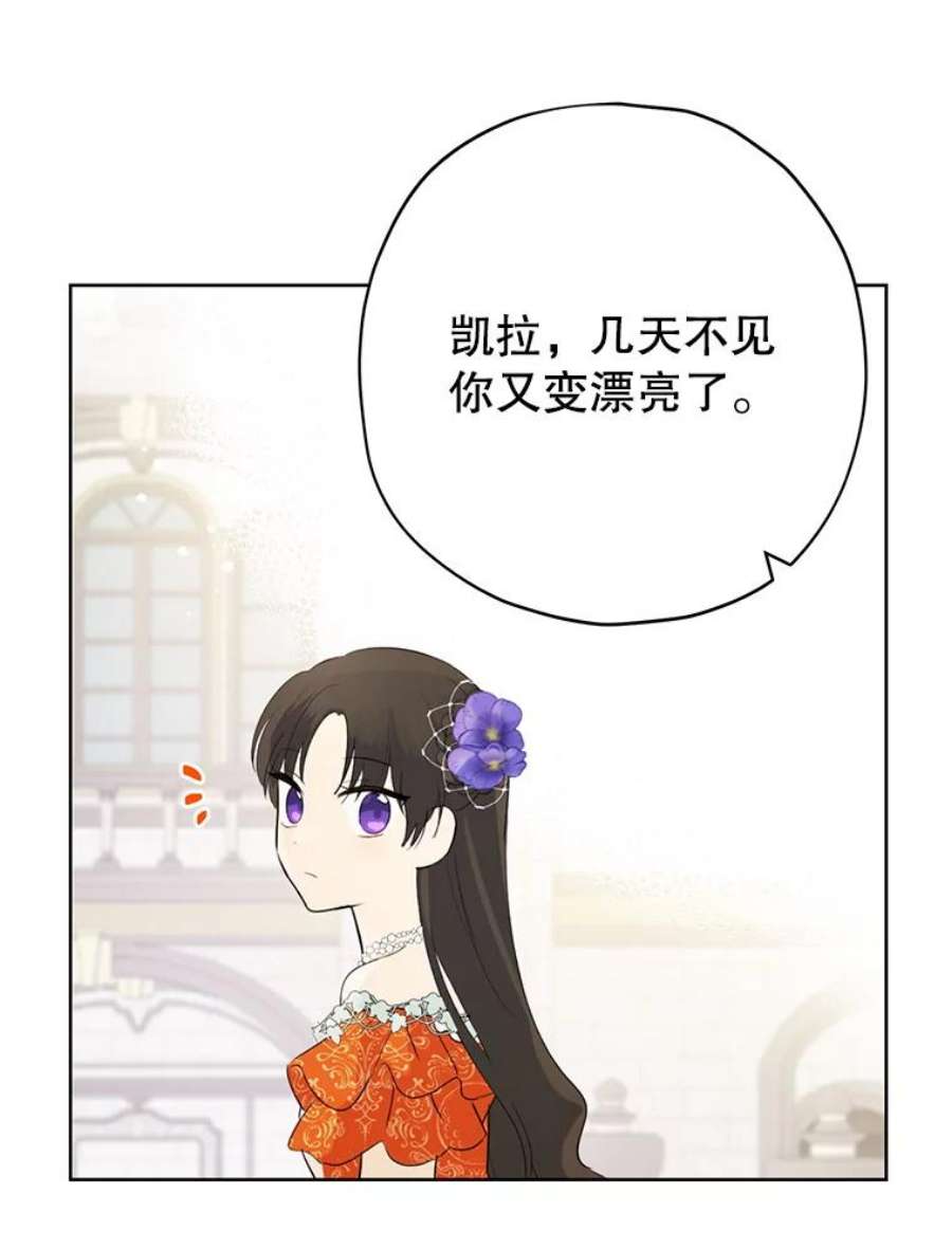 真与假的精灵师少女36.再次相见