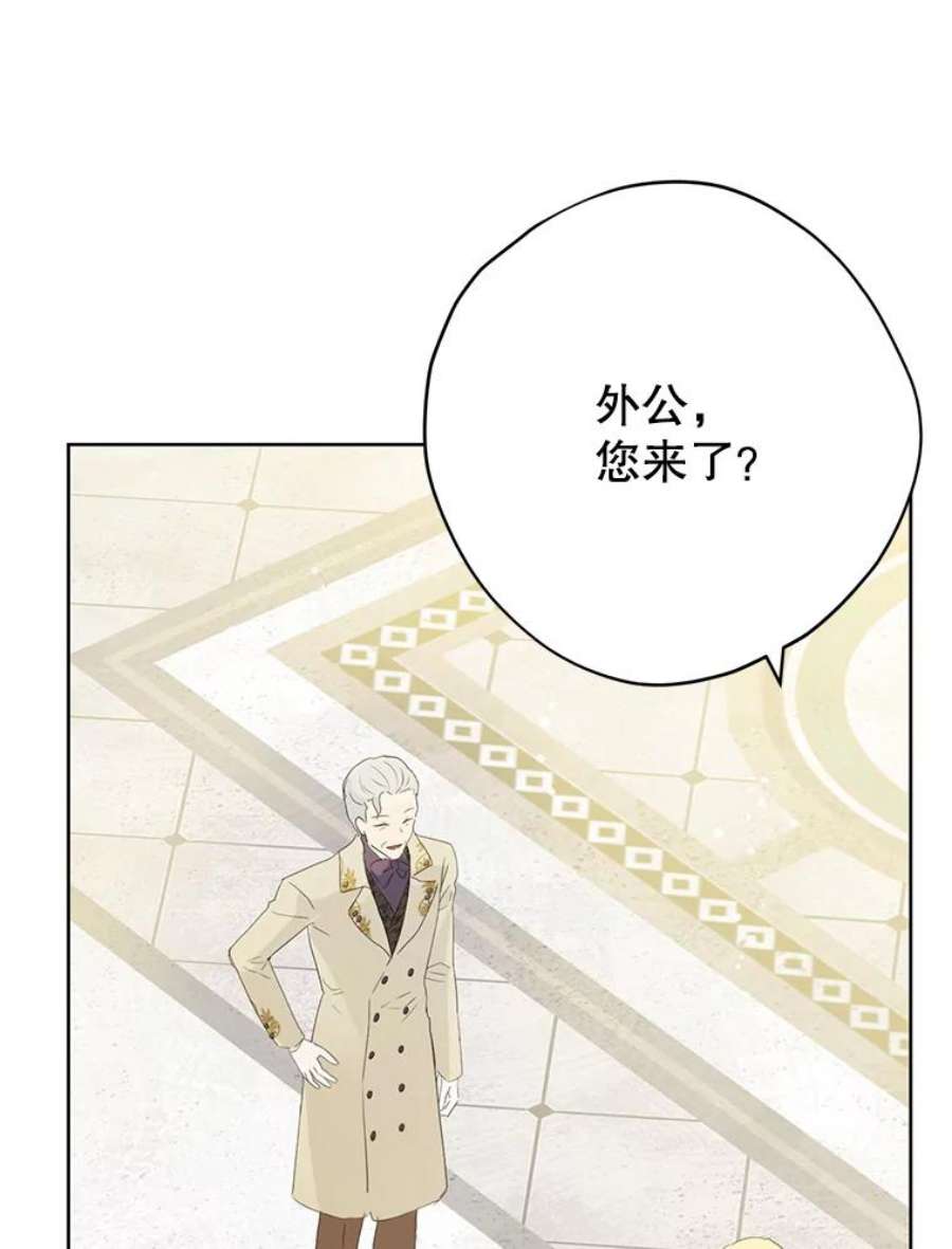 真与假的精灵师少女36.再次相见