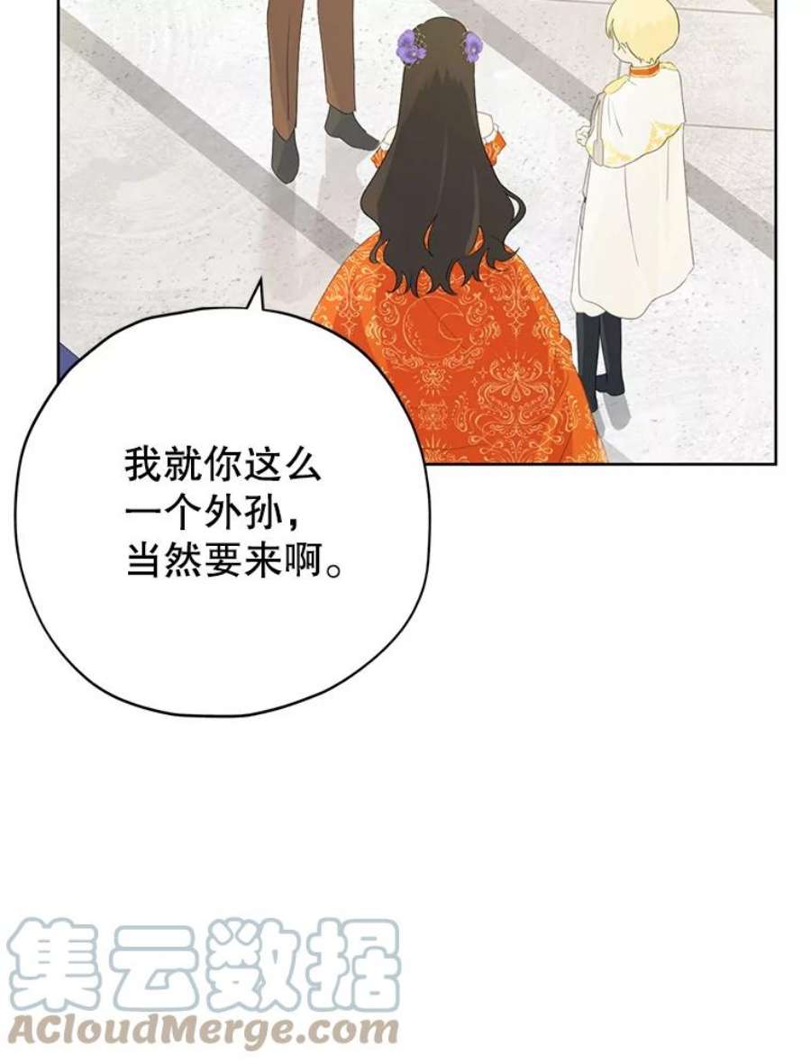 真与假的精灵师少女36.再次相见