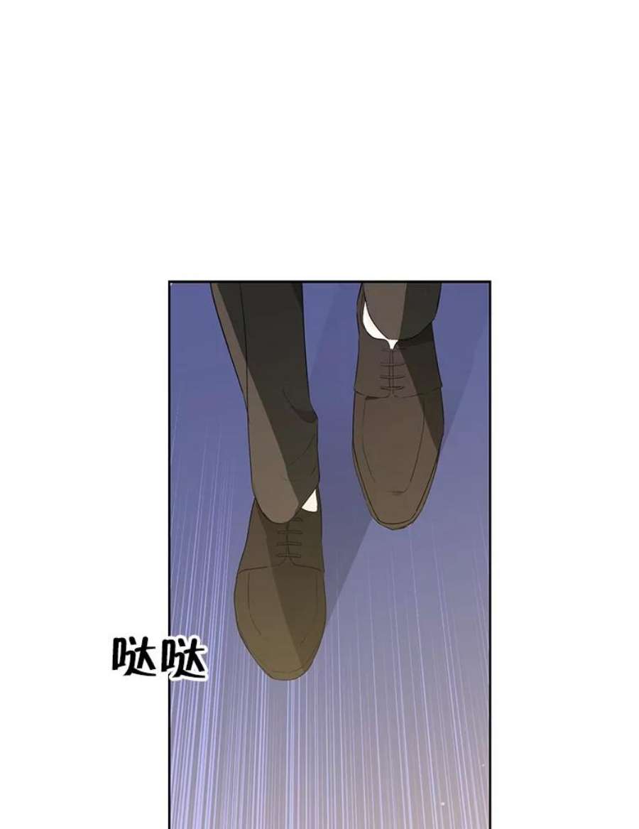 真与假的精灵师少女36.再次相见