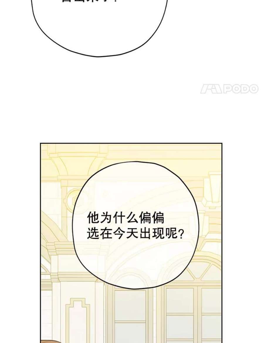 真与假的精灵师少女36.再次相见