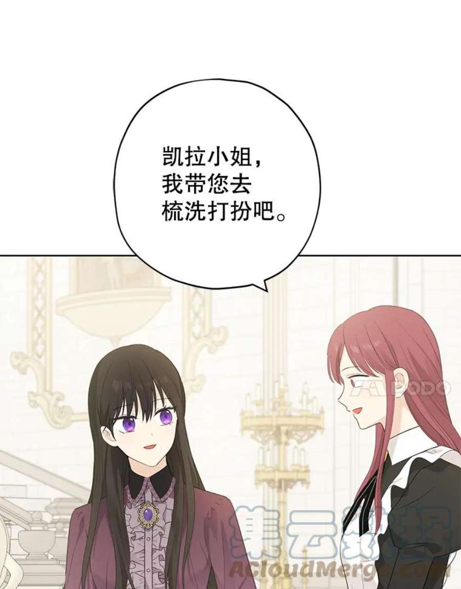 真与假的精灵师少女36.再次相见