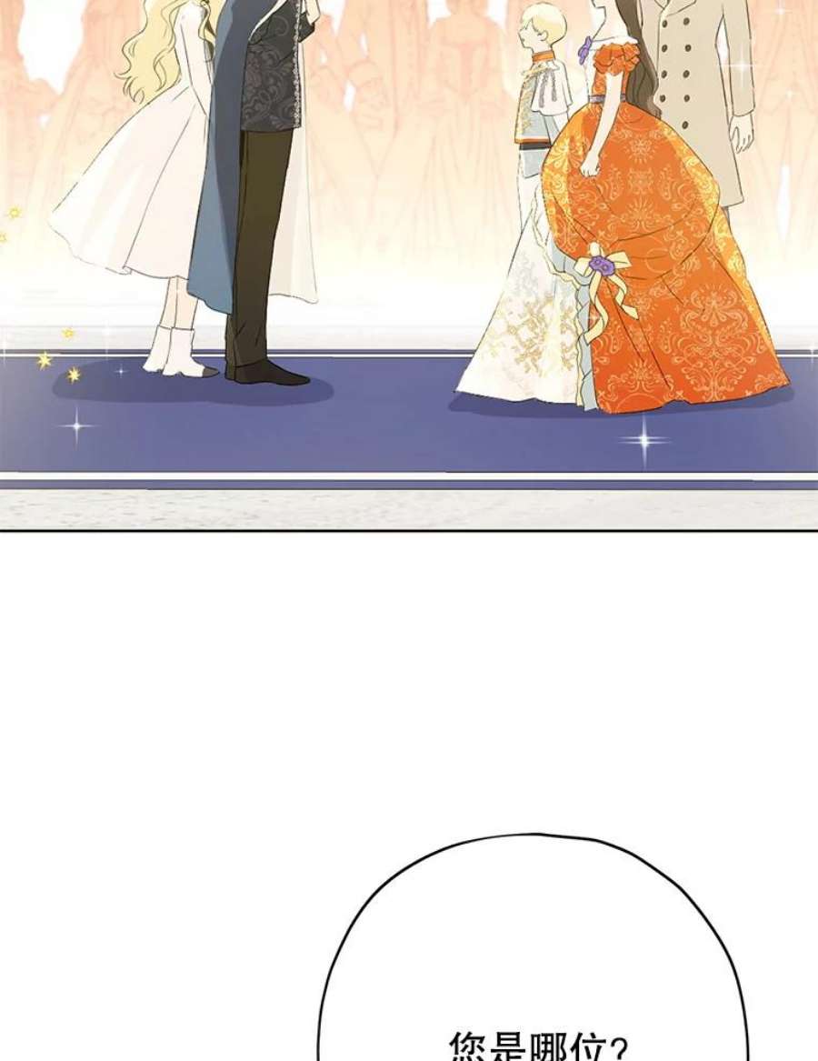 真与假的精灵师少女36.再次相见