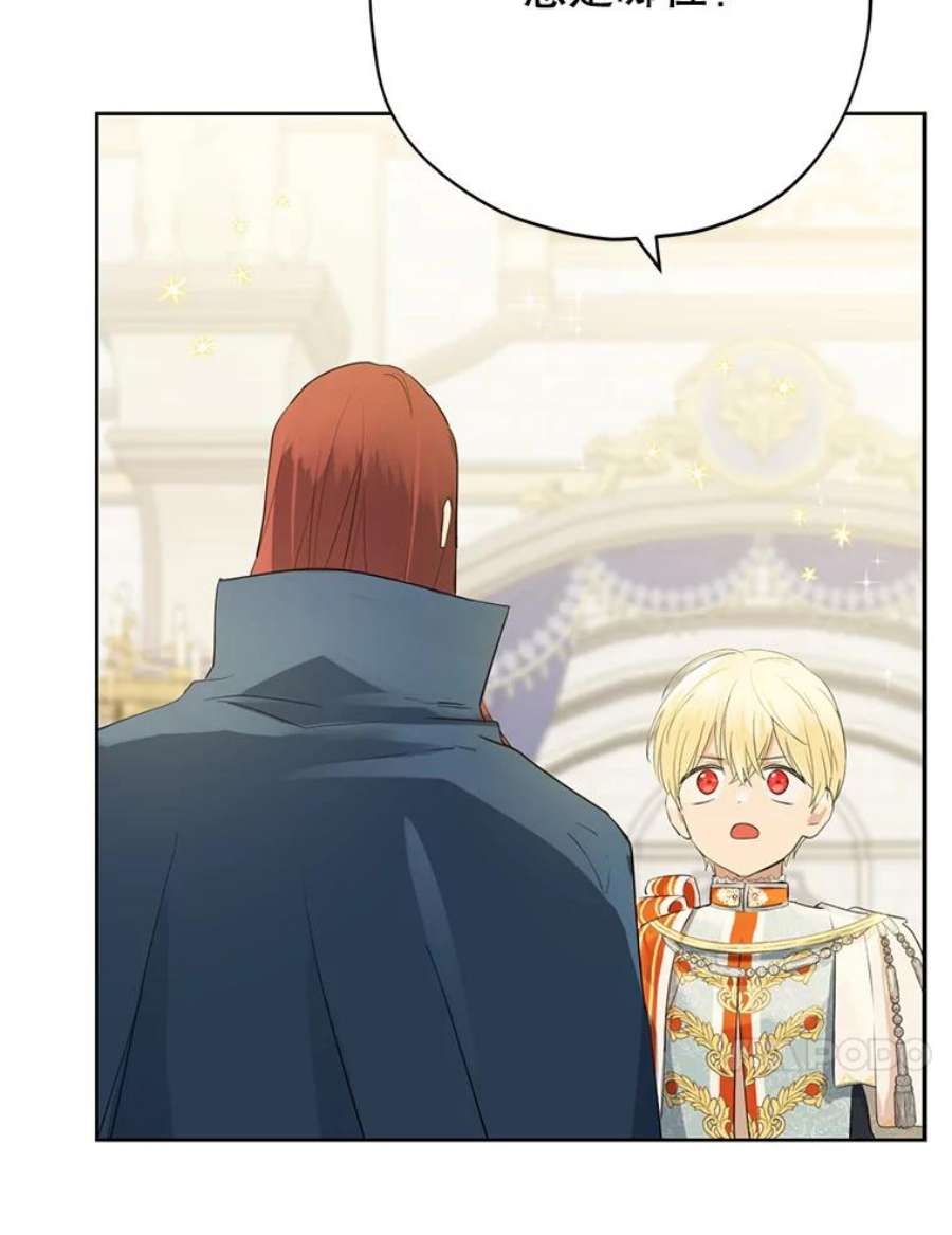 真与假的精灵师少女36.再次相见