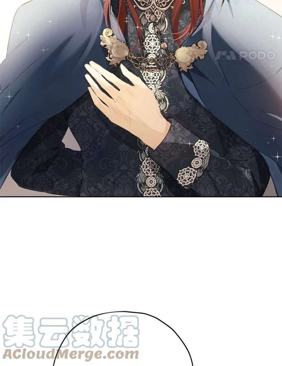 真与假的精灵师少女36.再次相见