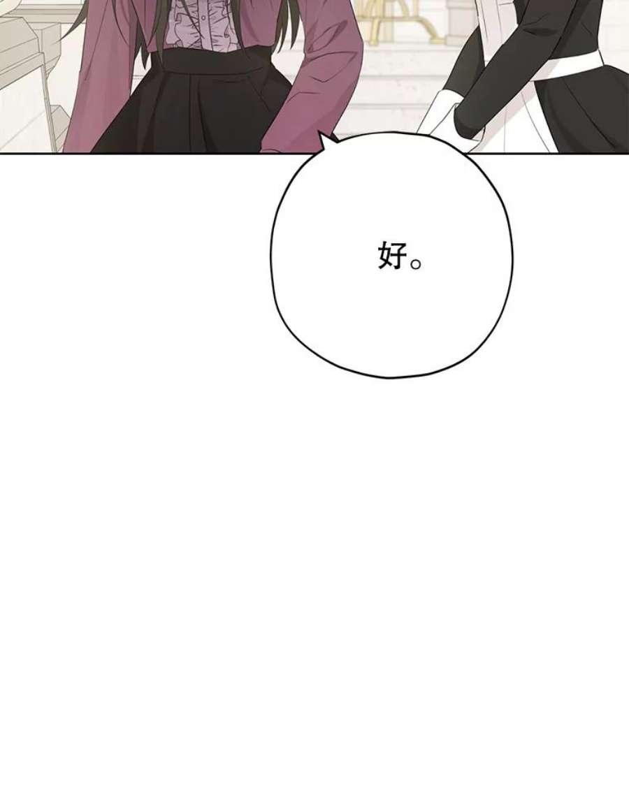 真与假的精灵师少女36.再次相见