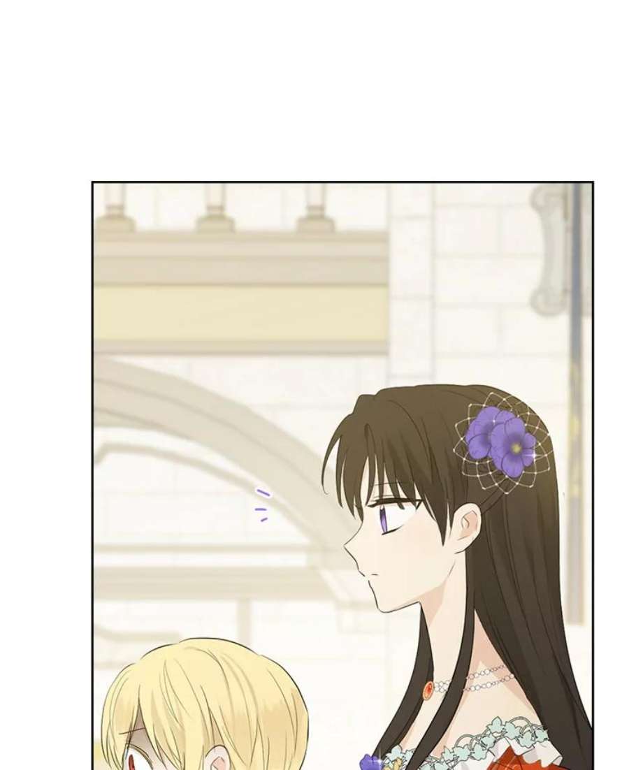 真与假的精灵师少女36.再次相见