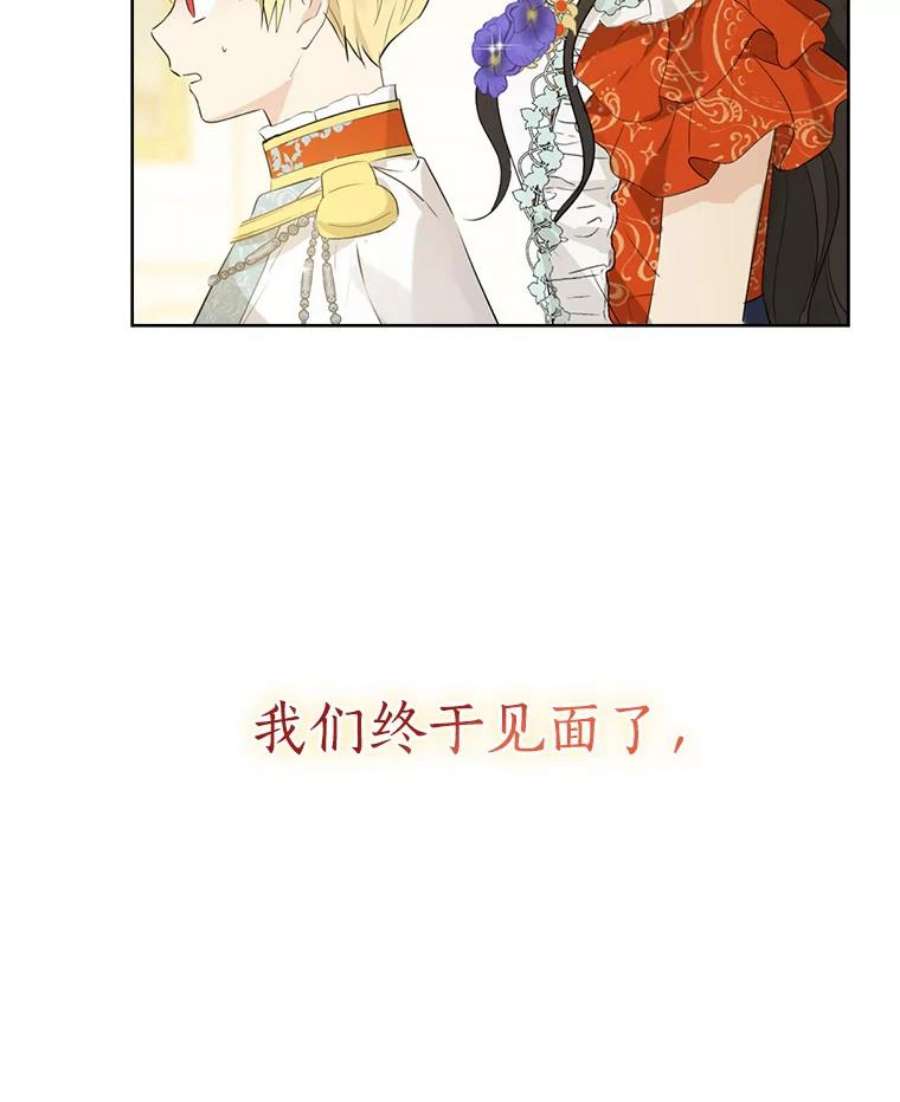 真与假的精灵师少女36.再次相见