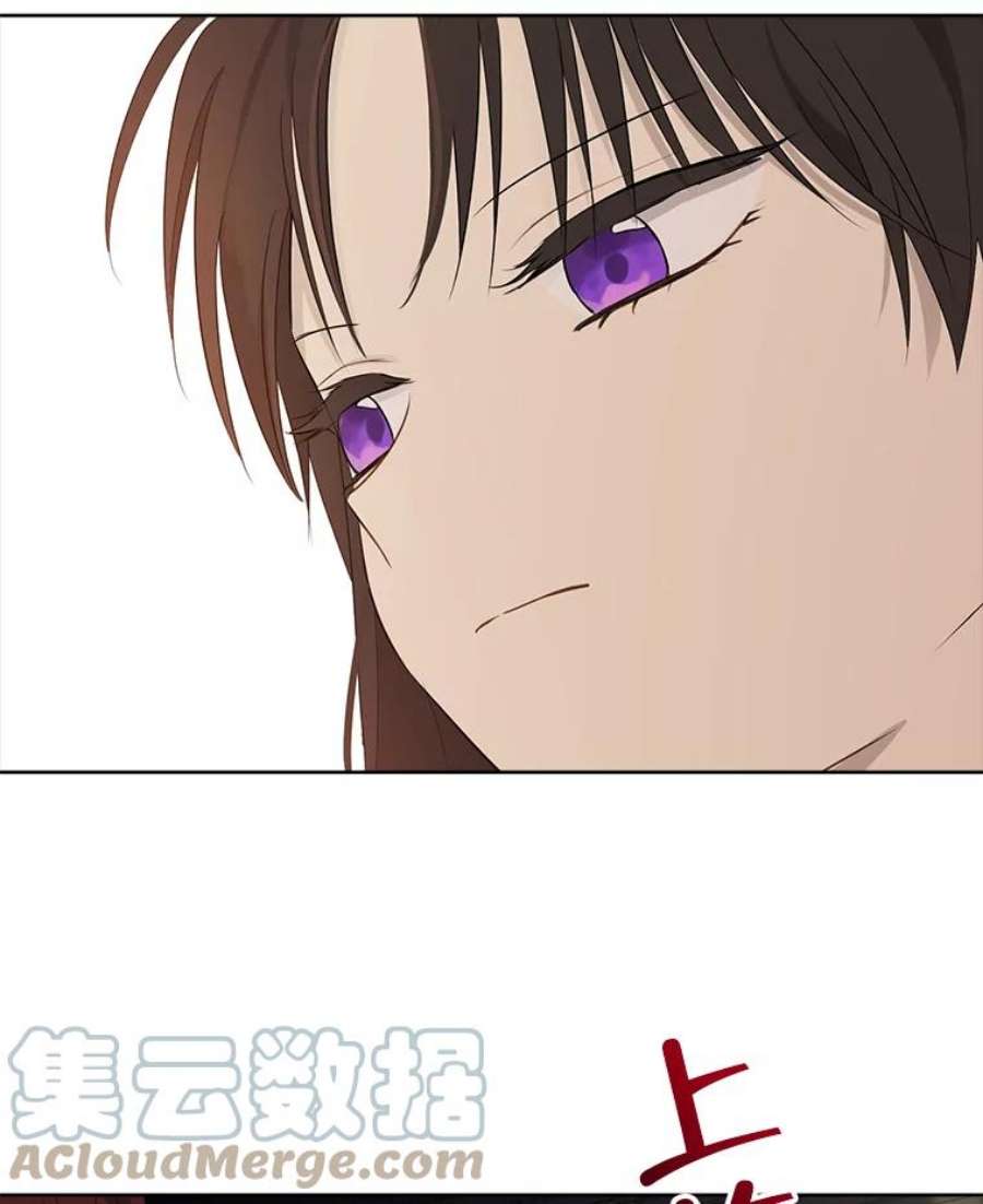 真与假的精灵师少女36.再次相见