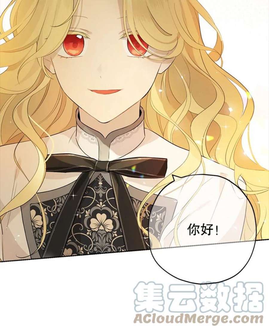 真与假的精灵师少女36.再次相见