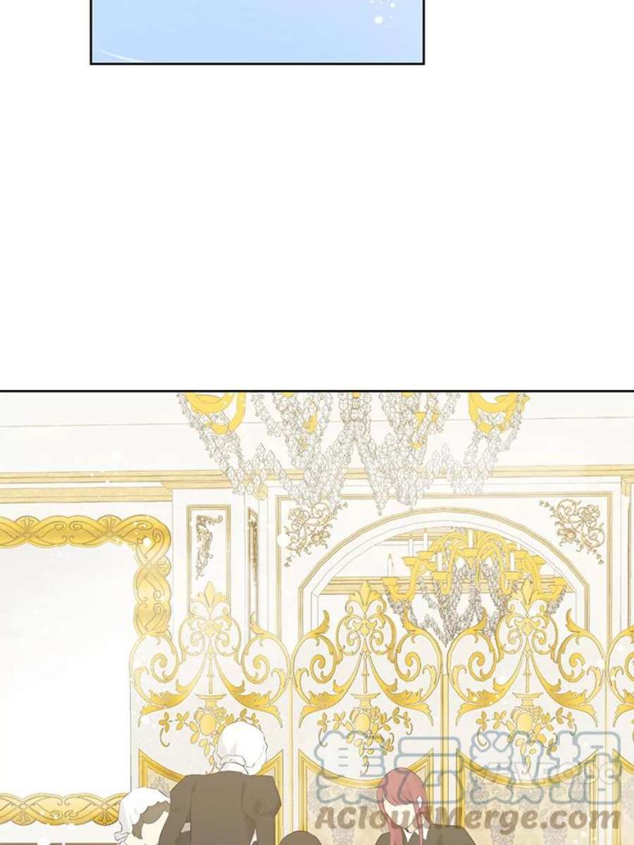 真与假的精灵师少女36.再次相见