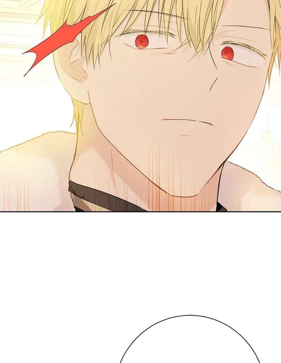 真与假的精灵师少女37.场景重现