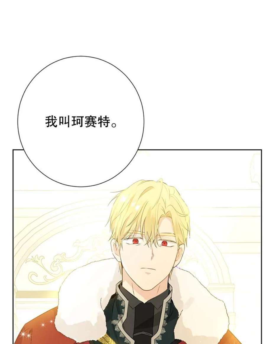 真与假的精灵师少女37.场景重现