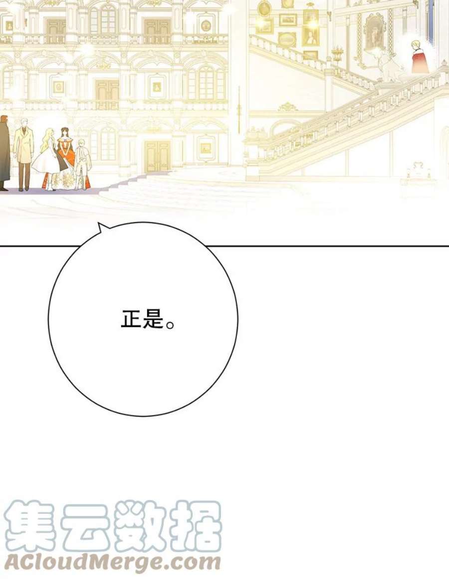 真与假的精灵师少女37.场景重现