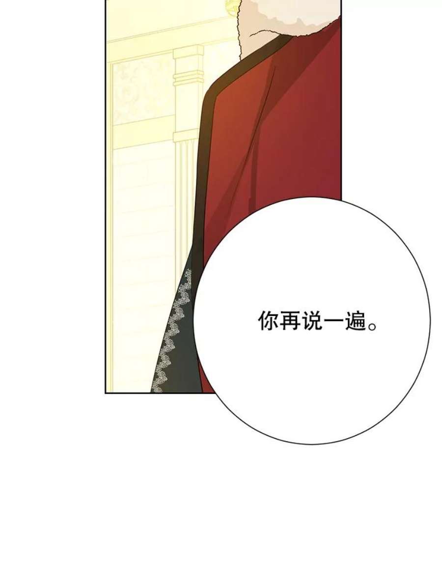 真与假的精灵师少女37.场景重现