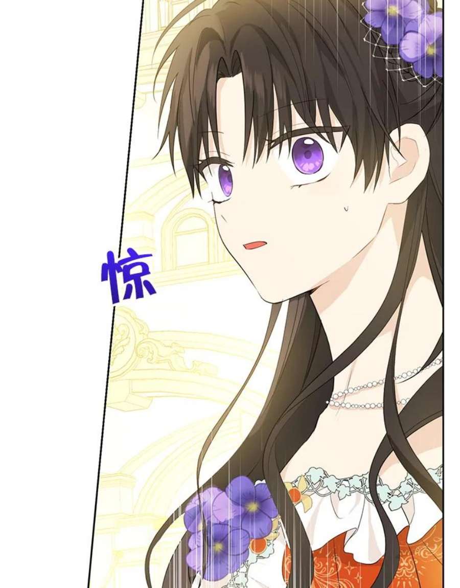 真与假的精灵师少女37.场景重现