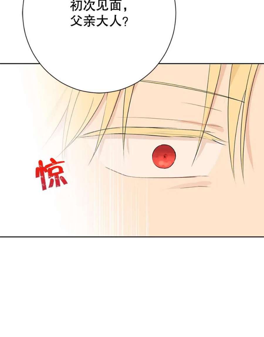 真与假的精灵师少女37.场景重现