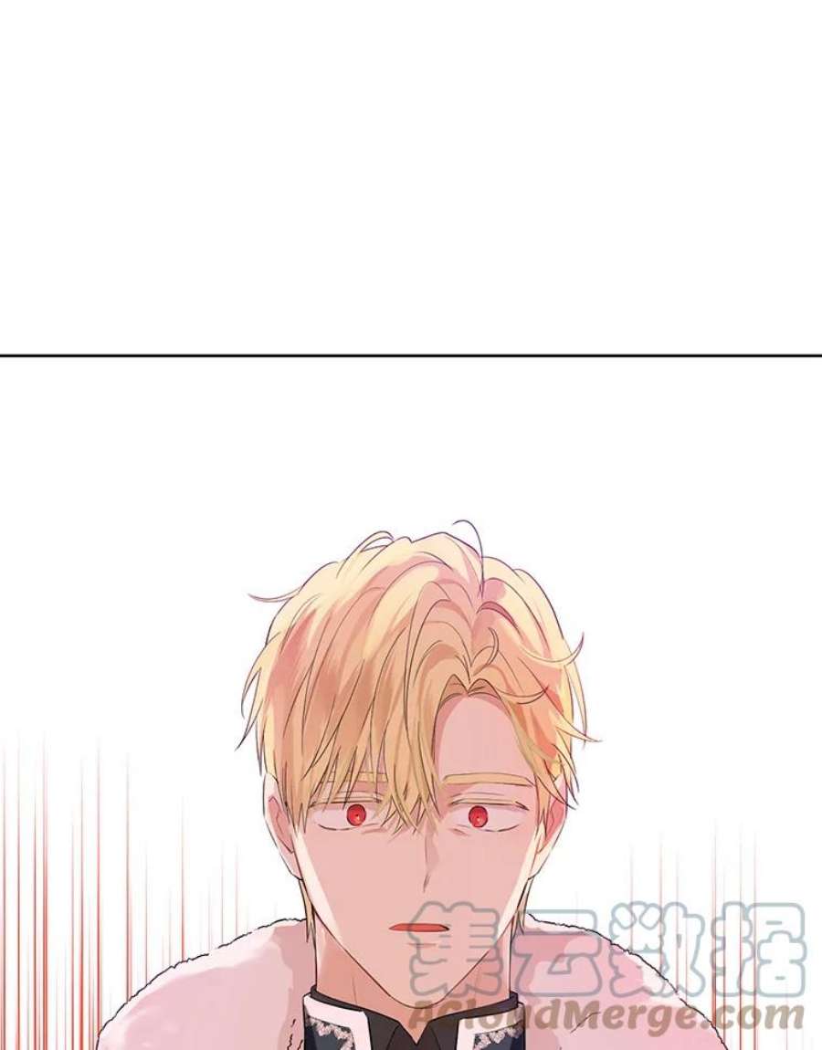 真与假的精灵师少女37.场景重现