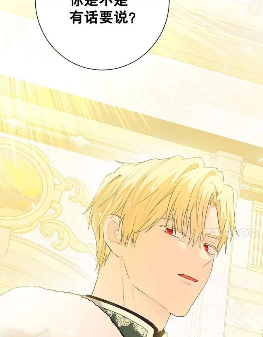 真与假的精灵师少女37.场景重现