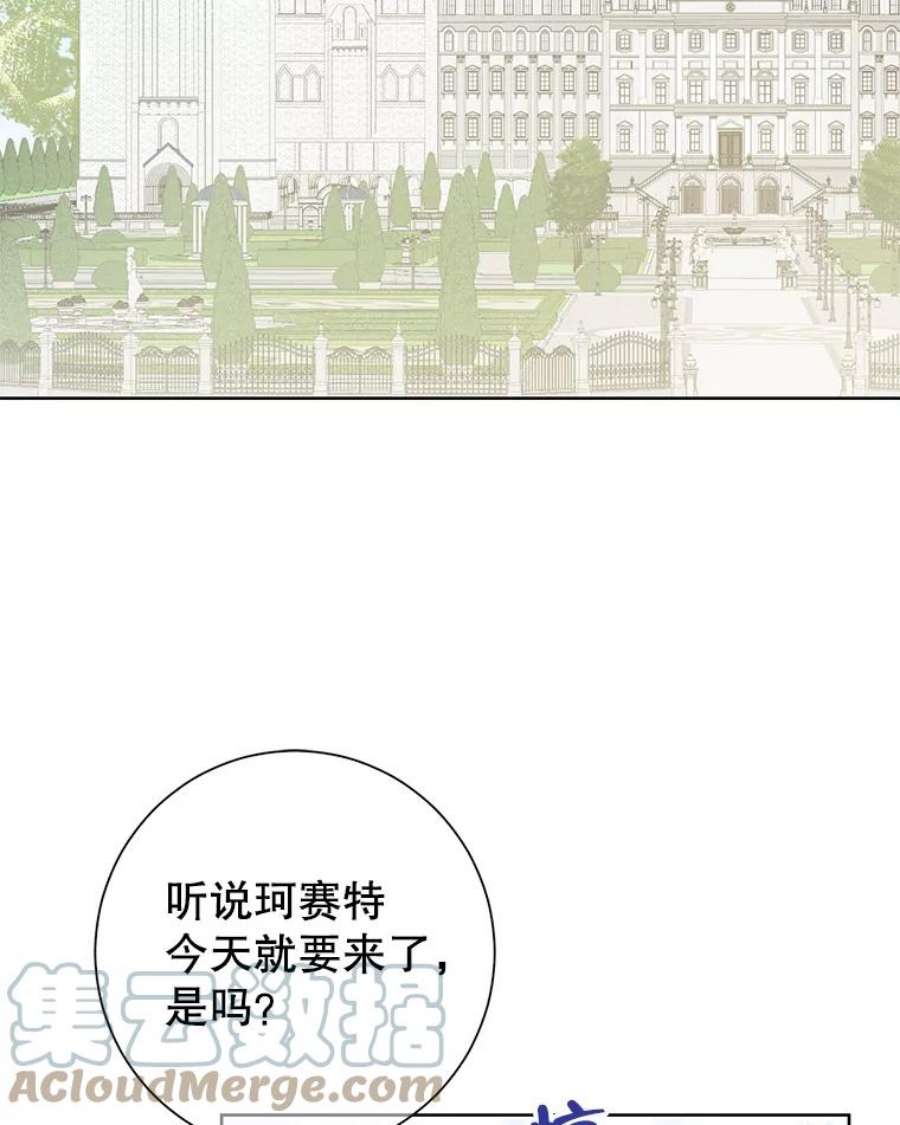 真与假的精灵师少女40.干得漂亮