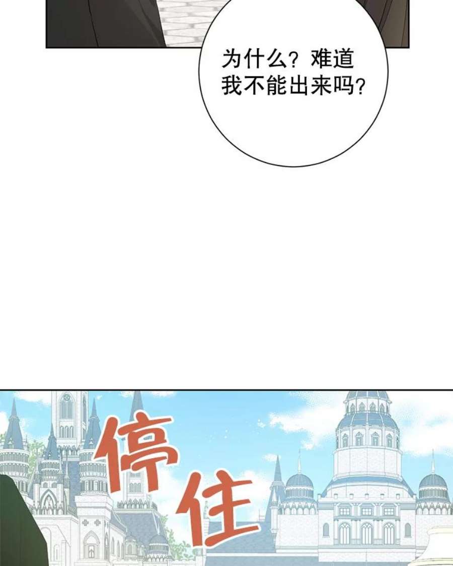 真与假的精灵师少女40.干得漂亮