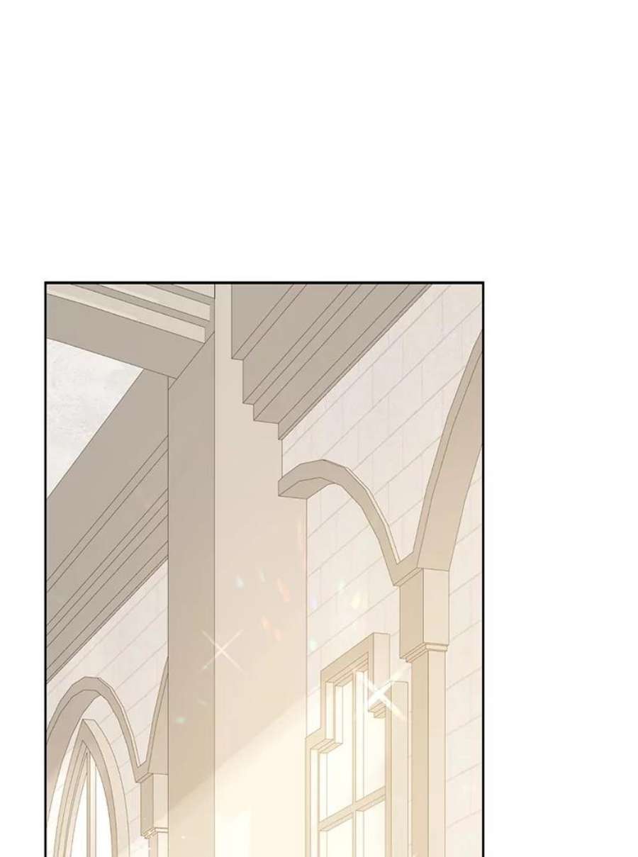 真与假的精灵师少女41.比试一下吧