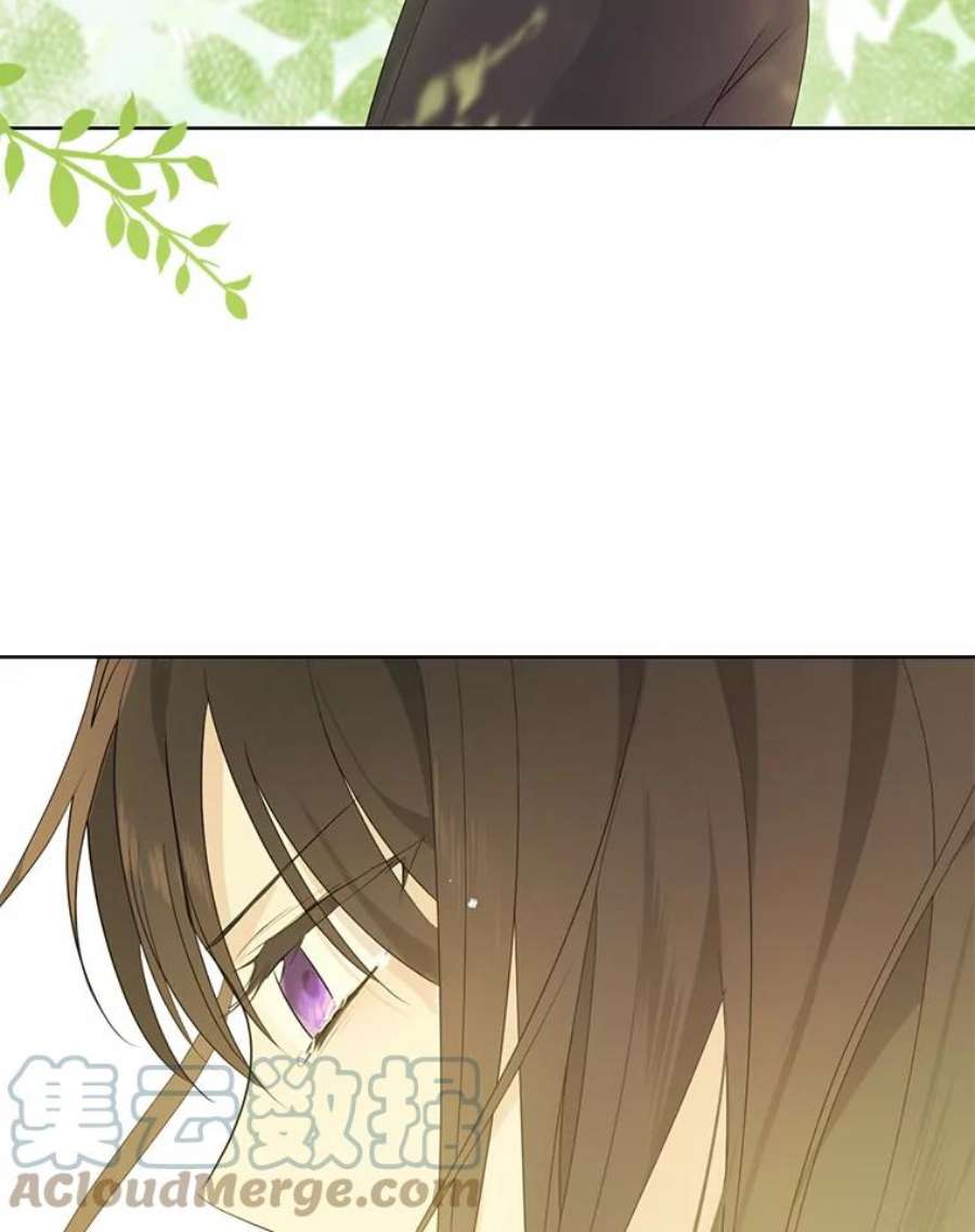 真与假的精灵师少女41.比试一下吧