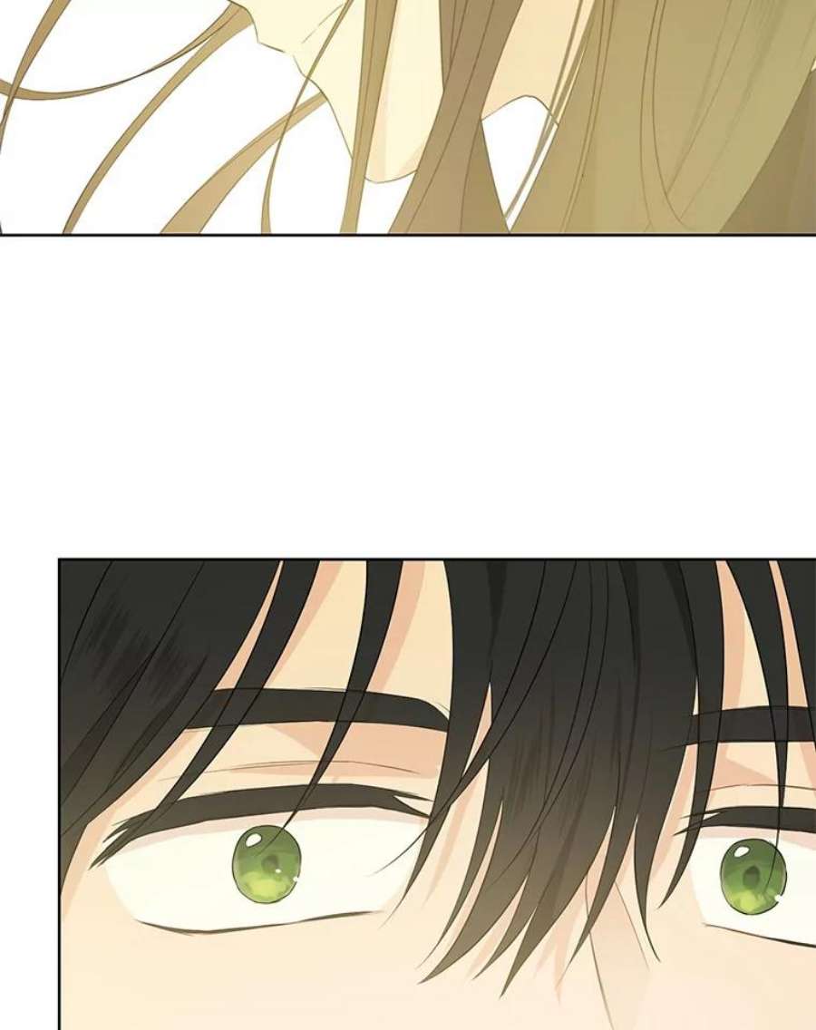 真与假的精灵师少女41.比试一下吧